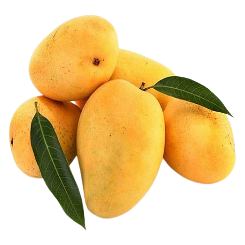 Fresh Mango Fruits