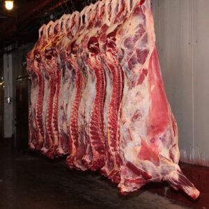 Halal Fresh & Frozen lamb Meat