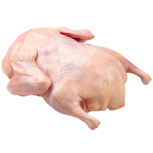 Halal Fresh Frozen Duck Meat