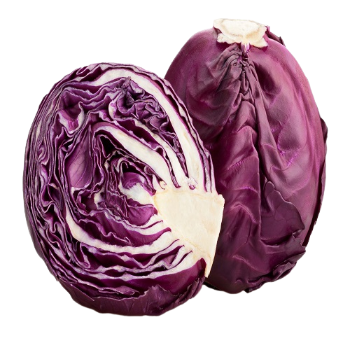 Red Cabbage